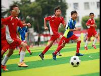 国际米兰VS那不勒斯直播_国际米兰VS那不勒斯直播免费观看_国际米兰VS那不勒斯集锦高清直播